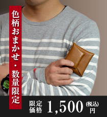 お試しpasulo