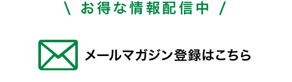 送料無料 鳥よけシート ステンレスピン ワイドタイプ 施工用 サイズ 全長約6m 鳥よけ Daimファクトリー