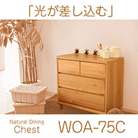 �`�F�X�g ���[�Ƌ� �^���X ���o�� �ؐ� ���b�N ��������