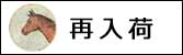 かわいい再入荷商品