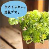 造花通販